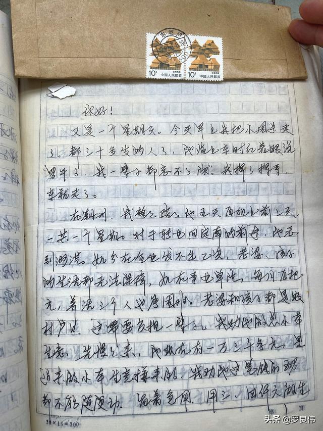 163师老兵（我在163师的那些年）(28)