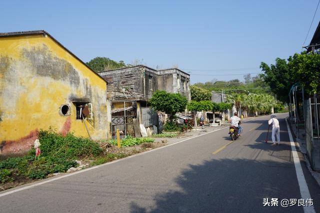 163师老兵（我在163师的那些年）(21)