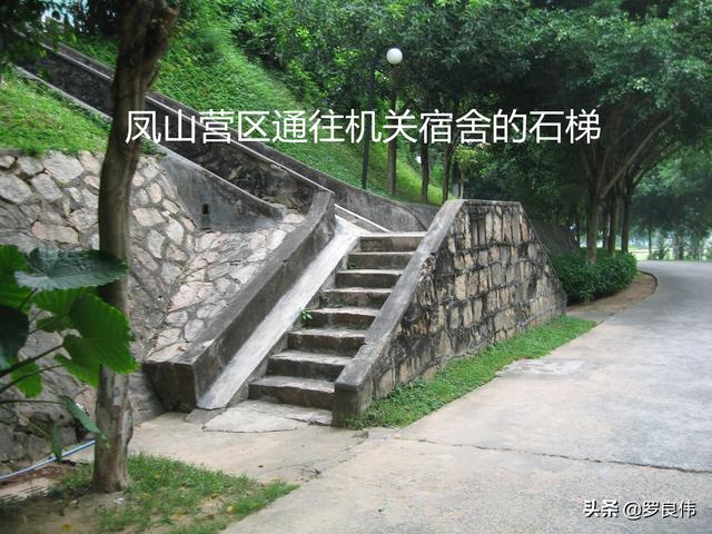 163师老兵（我在163师的那些年）(13)