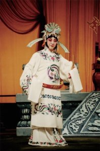 ​京剧名家、梅派传人杜