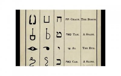 ​废弃的迪士尼乐园