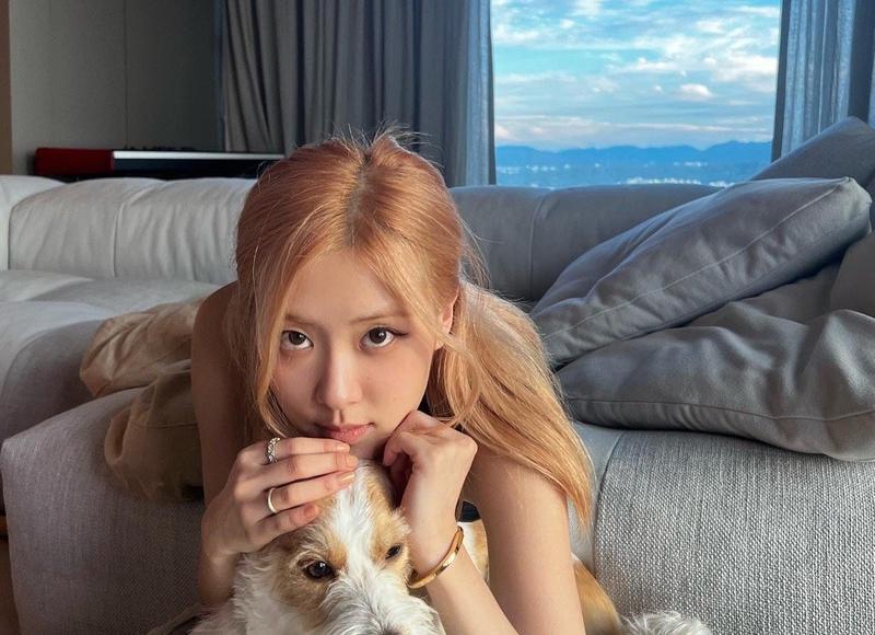 性单恋的人多吗