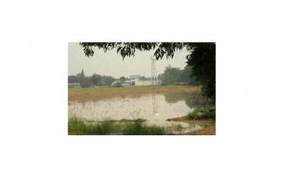 ​男女同居期间生活费支