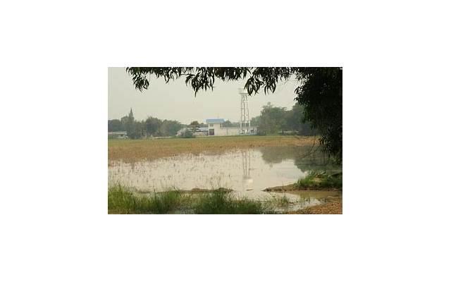 男女同居期间生活费支出是不是能要回来