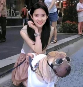 ​短发的刘亦菲 网友评论