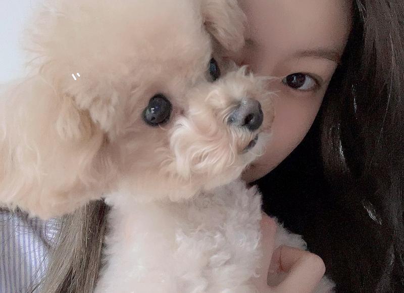 新还珠格格演员图片