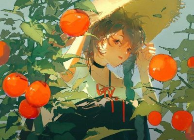 ​阳历和阴历有什么不同