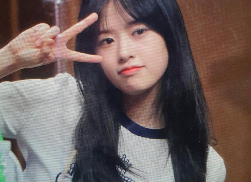 喜欢虐杀的动物