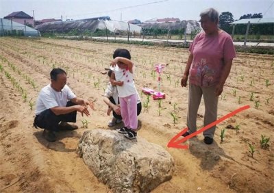 ​揭开寿光“静山”的面