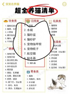 ​新手养猫全攻略：从不