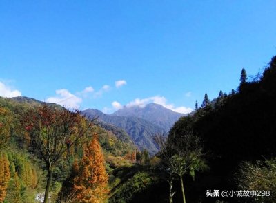 ​原始森林覆盖，露营烧