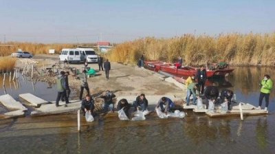 ​三万尾珍稀土著鱼类带着“标记”游入博斯腾湖