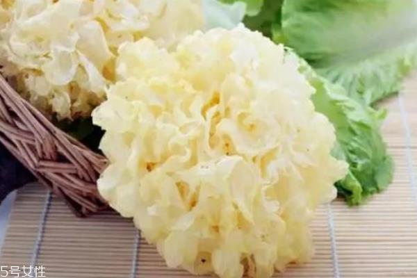 银耳脆的好还是糯的好 挑韧不挑脆 银耳脆的好还是糯的好 挑韧不挑脆