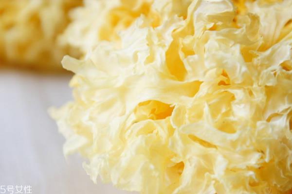 银耳脆的好还是糯的好 挑韧不挑脆 银耳脆的好还是糯的好 挑韧不挑脆