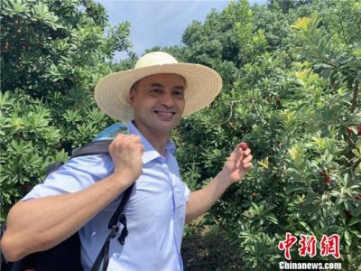 ​杨梅是酸的还是甜的（