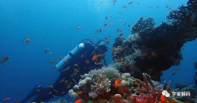 ​为什么工地“水鬼”上