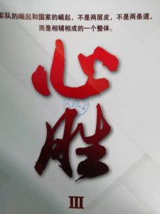 ​金一南《心胜》