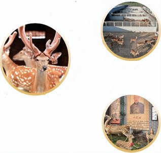 ​吉林长春双阳区鹿乡镇