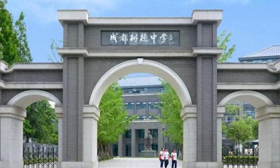 ​数学天才许晨阳：曾放