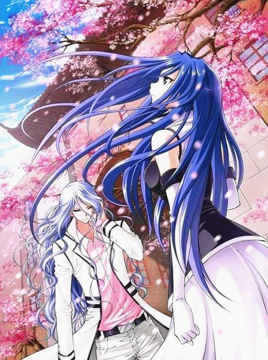 各动漫里的情侣（动漫里众所周知的情侣）(4)