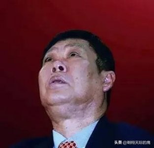 ​与健力宝的李经纬相比