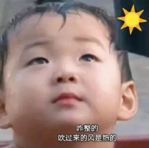 ​搞笑的表情包天气太热