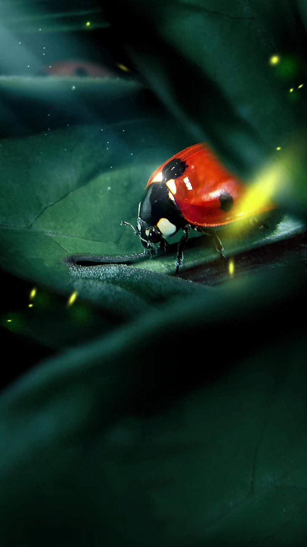 值得收藏！不用担心朋友圈找不到配图了！
