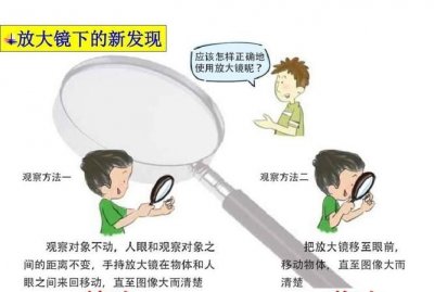 ​生活中放大镜有哪些用途,放大镜有什么用途,怎样使用