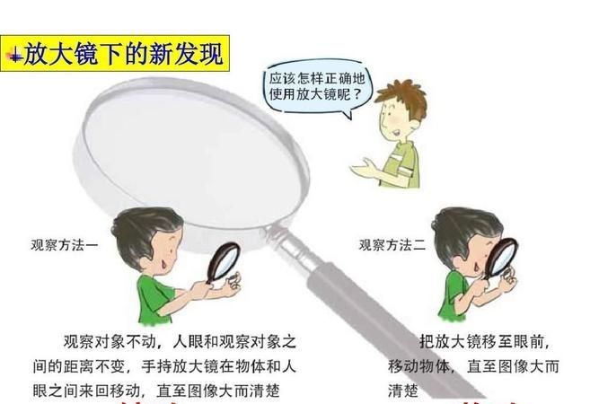 放大镜有什么用途,怎样使用
