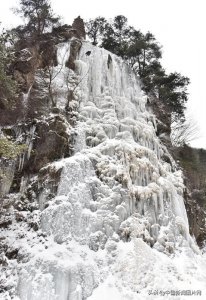 ​甘肃天水：麦积山植物