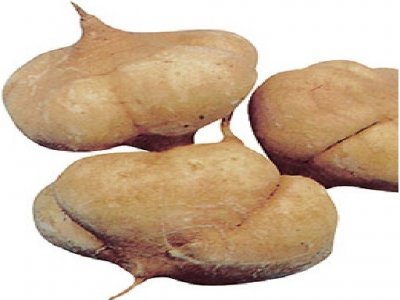 ​是地瓜还是番薯，据说