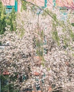 ​广西警察学院2019录取分