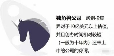 ​什么是独角兽公司？