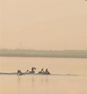 ​常州一架直升机意外坠胡