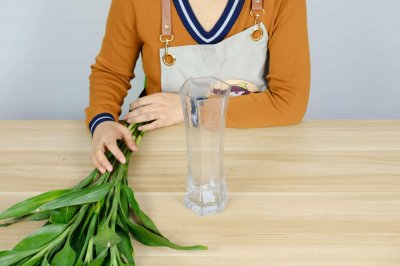 ​水养富贵竹几支最吉利