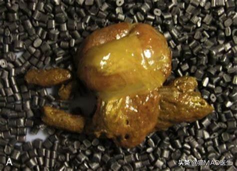 猫咪拉稀最有效治疗(猫咪腹泻的9大原因)(2)