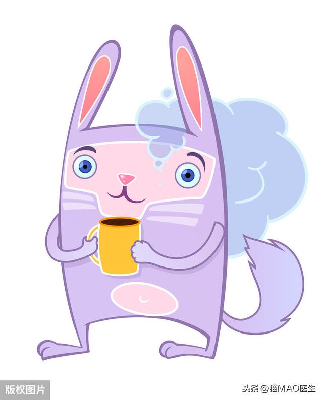 猫咪拉稀最有效治疗(猫咪腹泻的9大原因)(6)