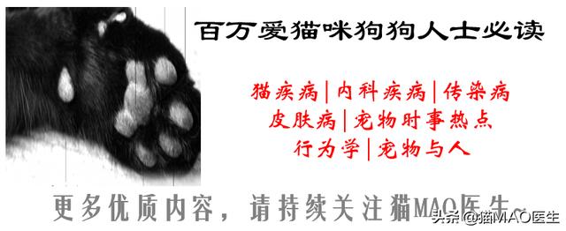 猫咪拉稀最有效治疗(猫咪腹泻的9大原因)(7)