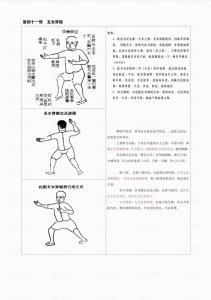 ​自学《陈鑫-太极拳图说》第四十一势 玉女穿梭，架势整理及探讨
