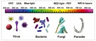 ​玻璃能挡住紫外线灯珠