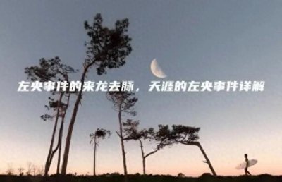 ​谜之左央探灵事件：妖