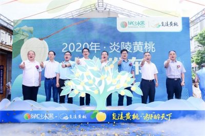 ​绿叶水果携全国各地水