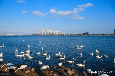 ​荣成一日穷游攻略，这