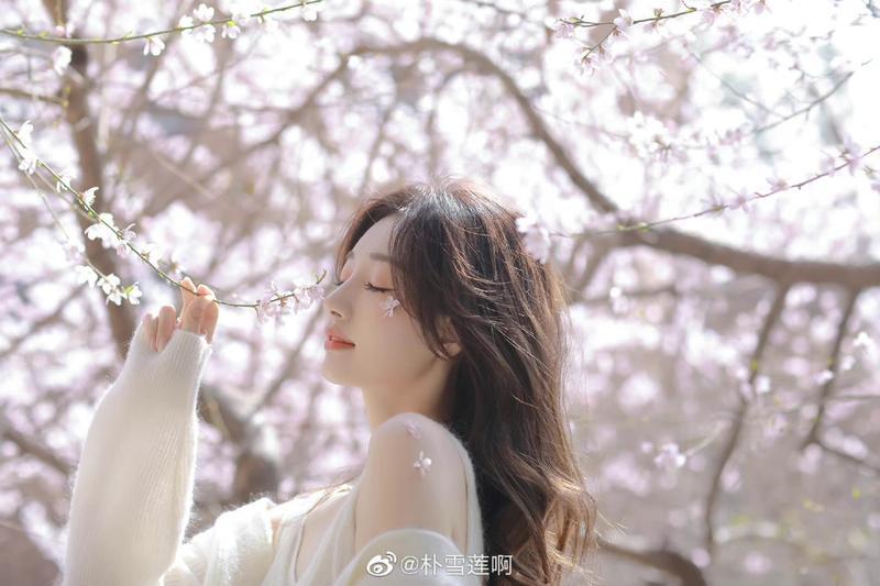 铂爵旅拍婚纱摄影的价格是多少