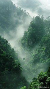 ​贵人多多的命格【大林木】