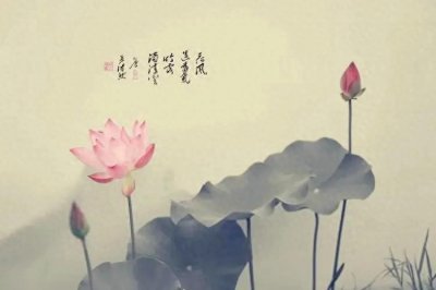 ​最积德行善的7件事，你做对了几件