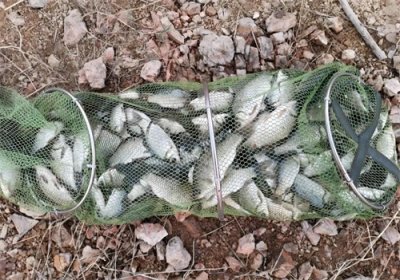 ​钓鱼钩不能随便选，高手钓鲫鱼常用的三种鱼钩，你用对了吗？