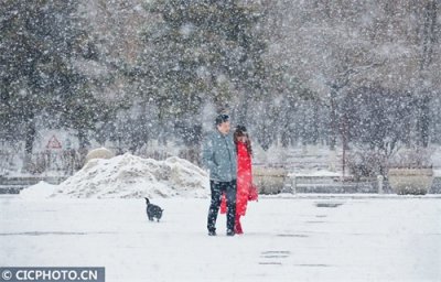 ​四季之歌｜大雪至 仲冬始