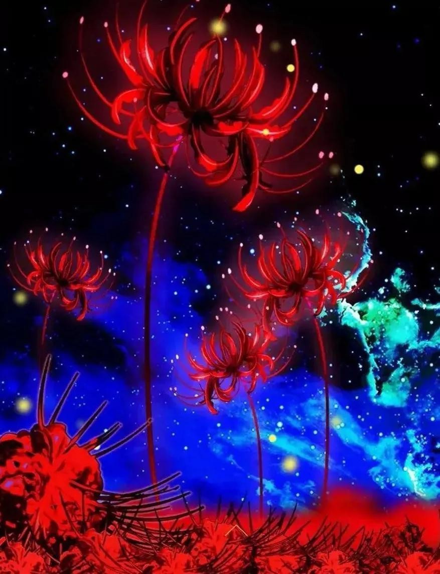 彼岸花的传说(彼岸花的真正含义)