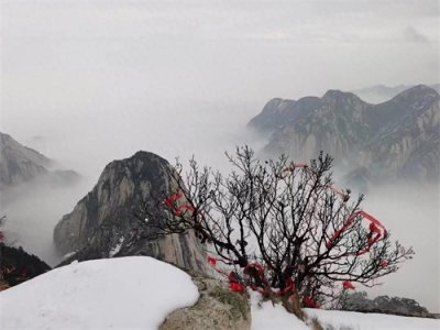 ​“文化”到底能给人类带来哪些方面的能量